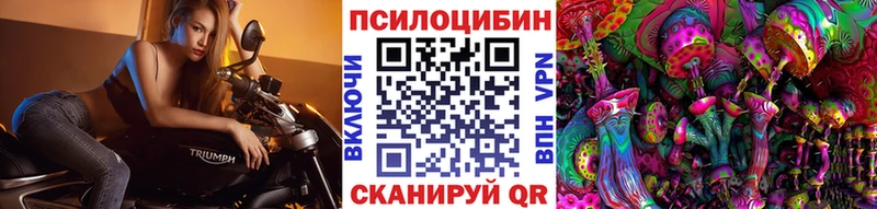 Купить  Спасск-Дальний  Галлюциногенные грибы прущие грибы 